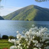 Lake Retreat Properties