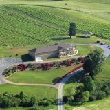 Ramulose Ridge Vineyards