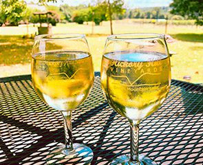 Hickory Hills Vineyards wine