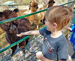 Farm Experiences