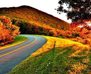 Scenic Drives