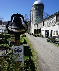 Wipledale Farm, Greenhouse, Inc.