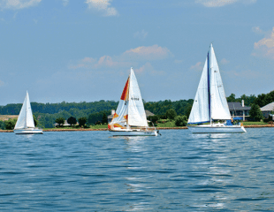 Sailboats on Smith Mountain Lake courtesy of Landa Hagee