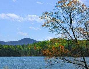 Smith Mountain Lake State Park