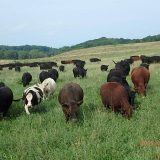Mountain Run Farm