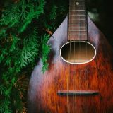 Ricky’s Bluegrass Connection