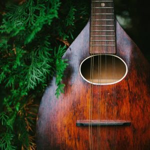 Ricky’s Bluegrass Connection