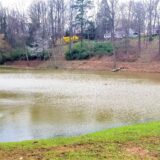 Town Pond