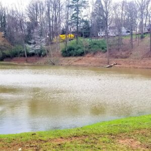 Town Pond