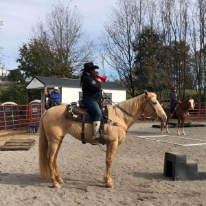 Triple M Trail Rides