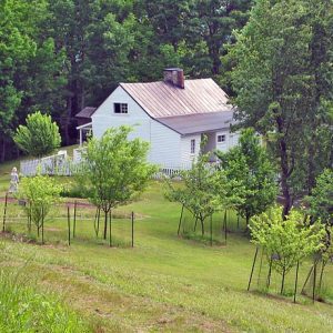 Johnson Farm Trails