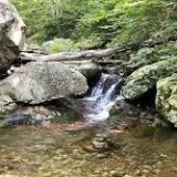 Fallingwater Cascades Trail