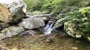 Fallingwater Cascades Trail