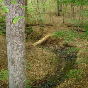 Montvale Park
