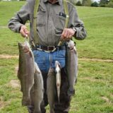 Rock Hollow Trout Farm