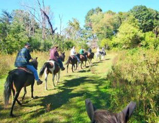 Horseback riding in Bedford Va