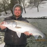 Cats N’ Stripers Guide Service