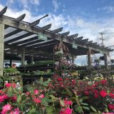 Aylor’s Farm and Garden