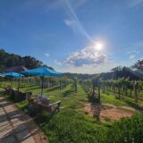 Fables & Feathers Winery