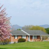 Birdsong Corner – Bedford