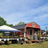 Something Special Farm